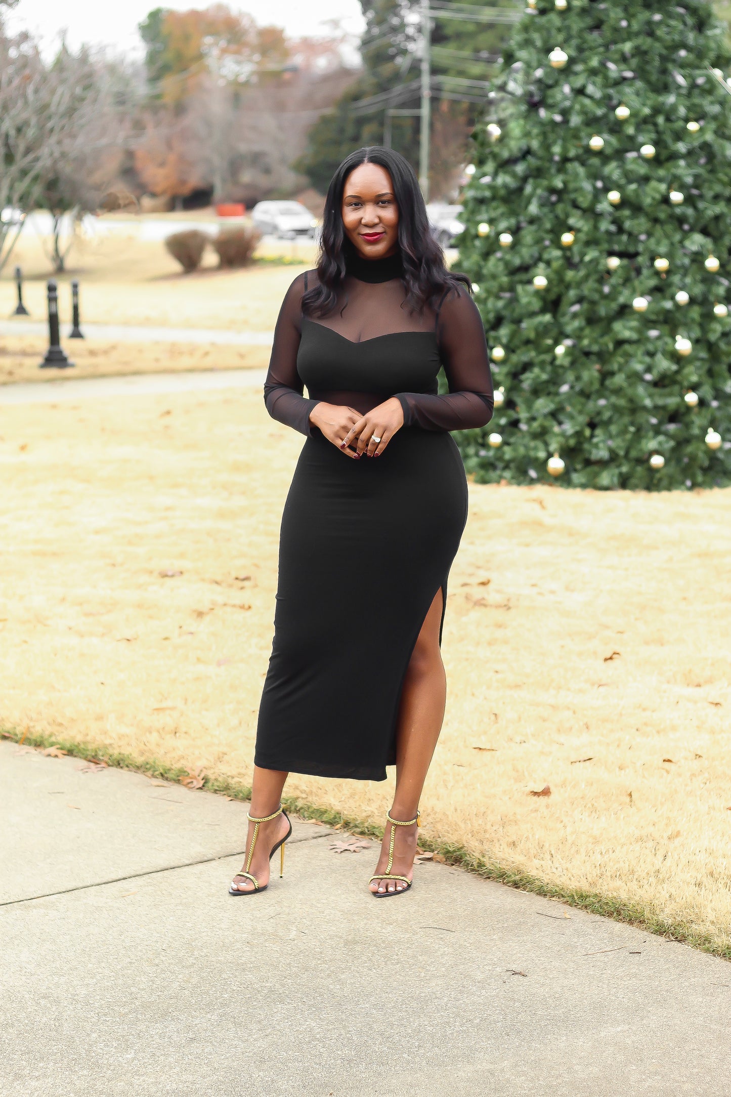 Lizz Mesh Cutout Dress