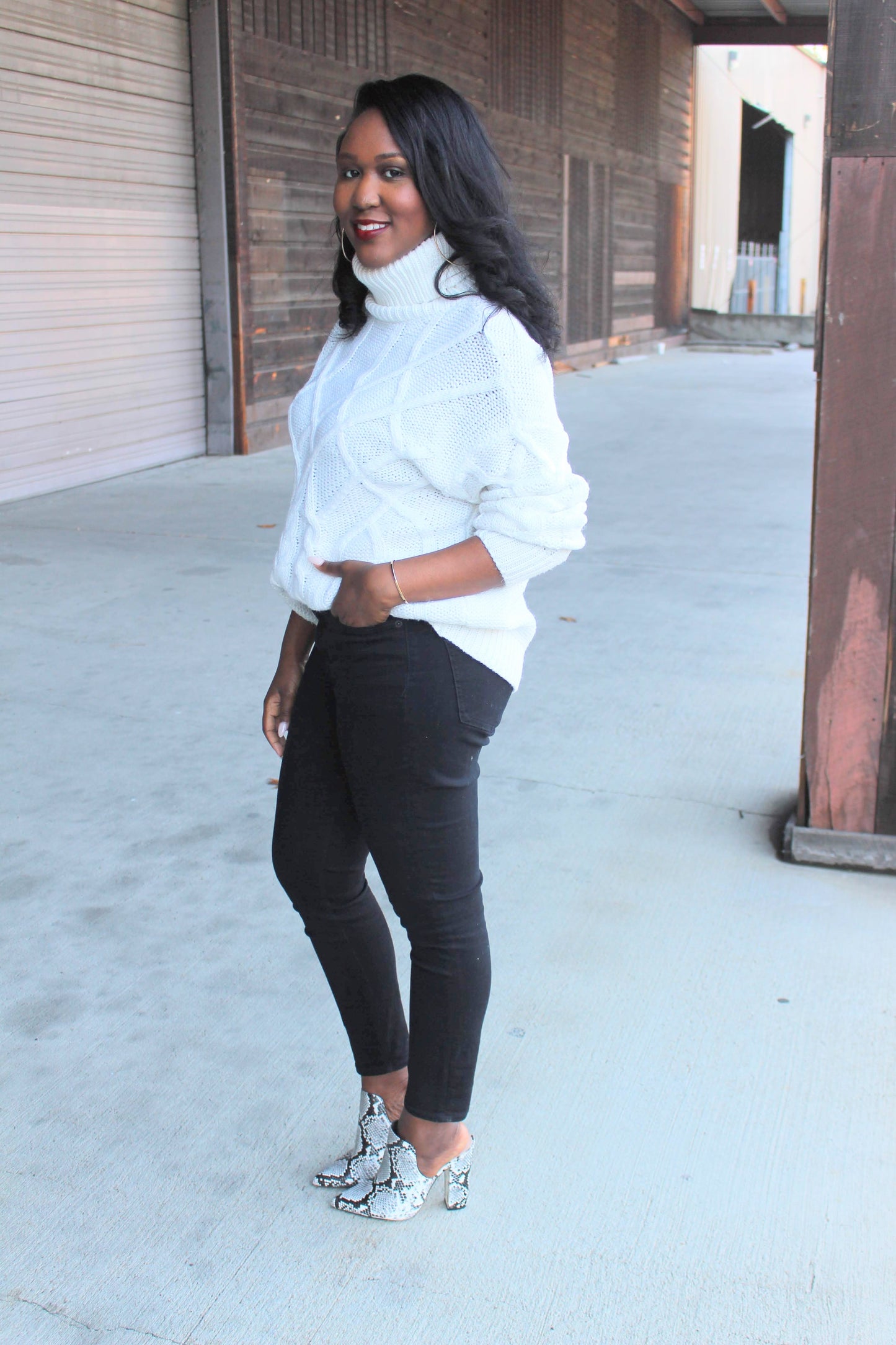 Bianca Chunky Knit Turtleneck Sweater