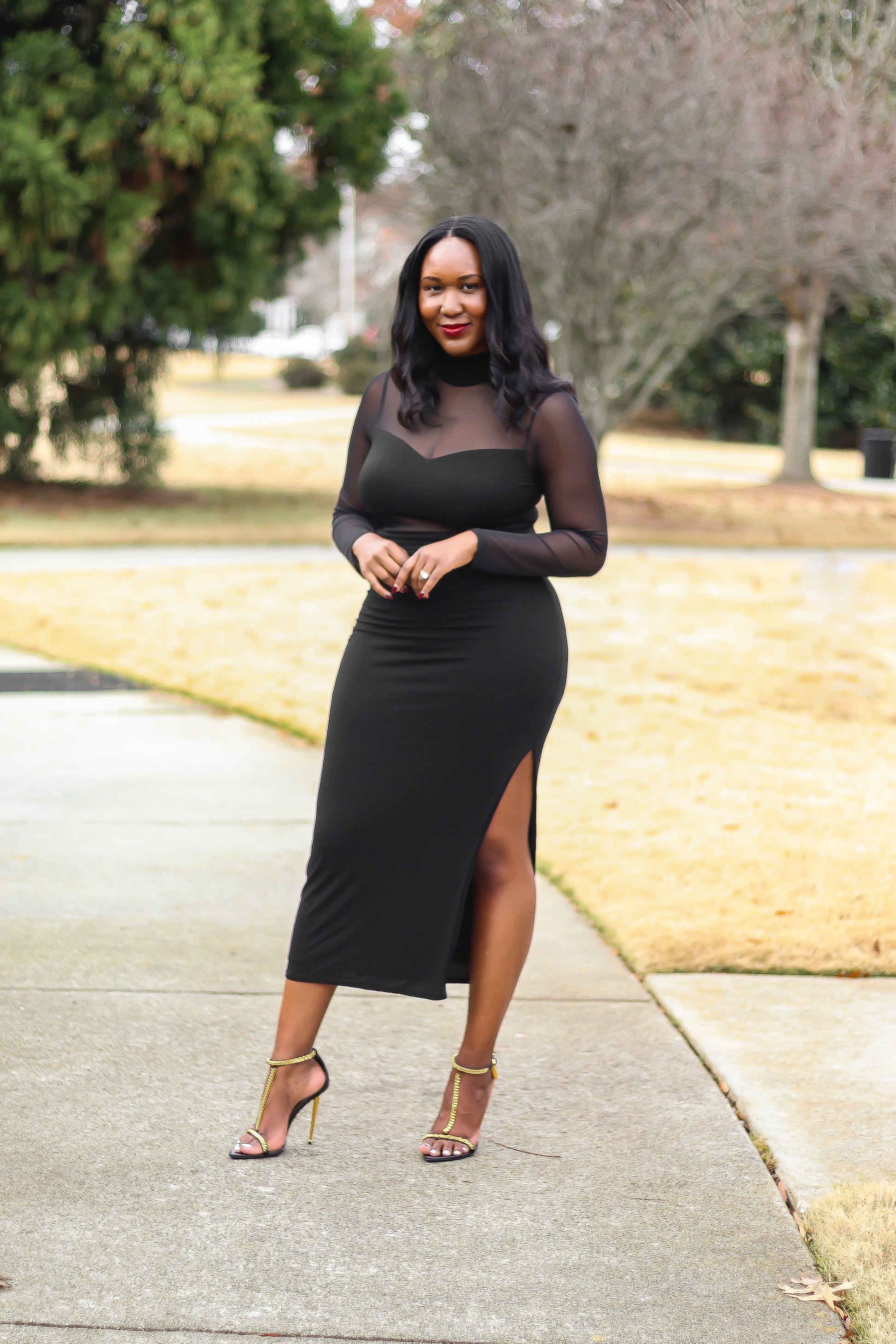 Lizz Mesh Cutout Dress Lizz Mesh Cutout Dress