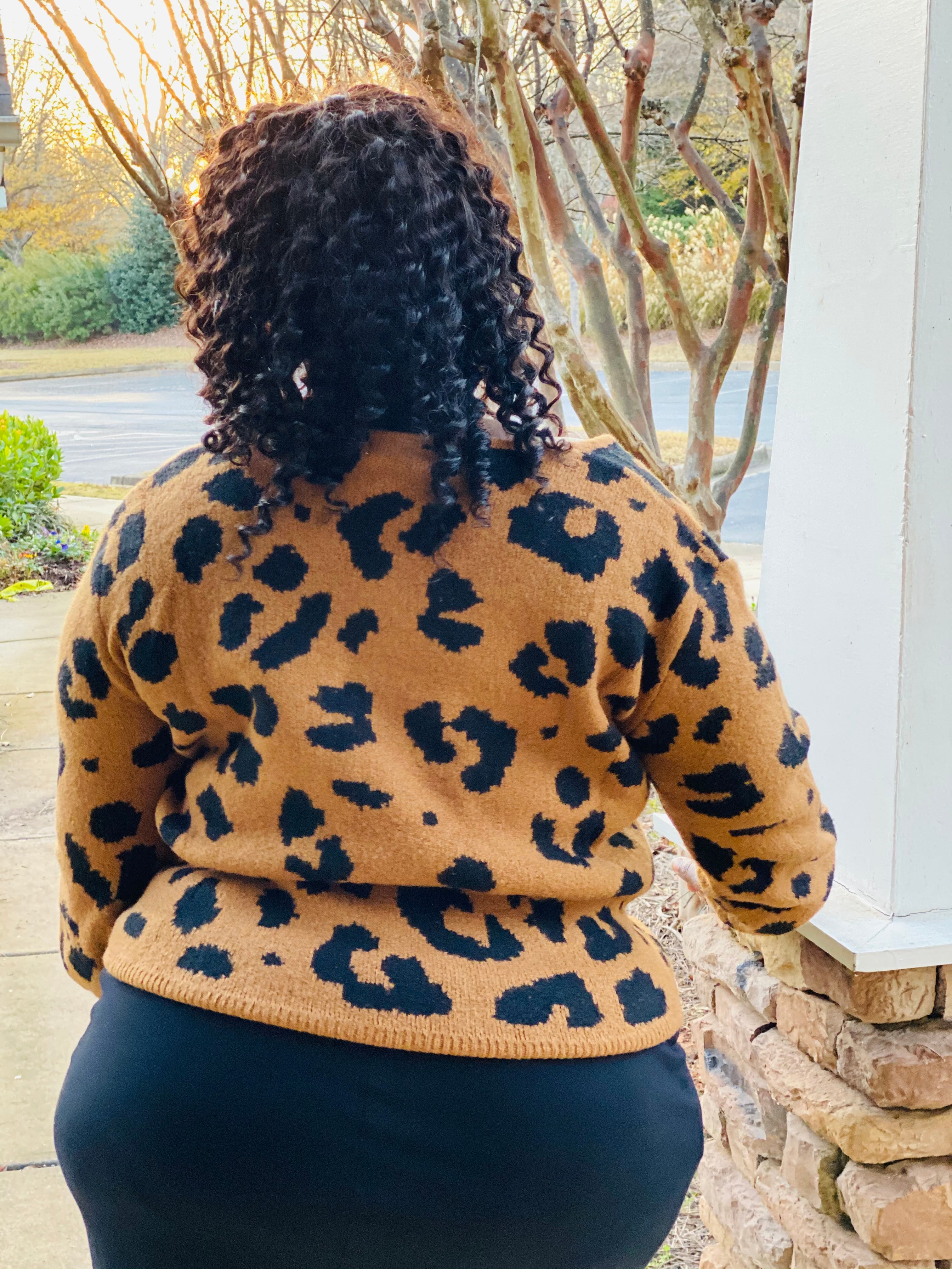 Plus size on sale animal print sweater